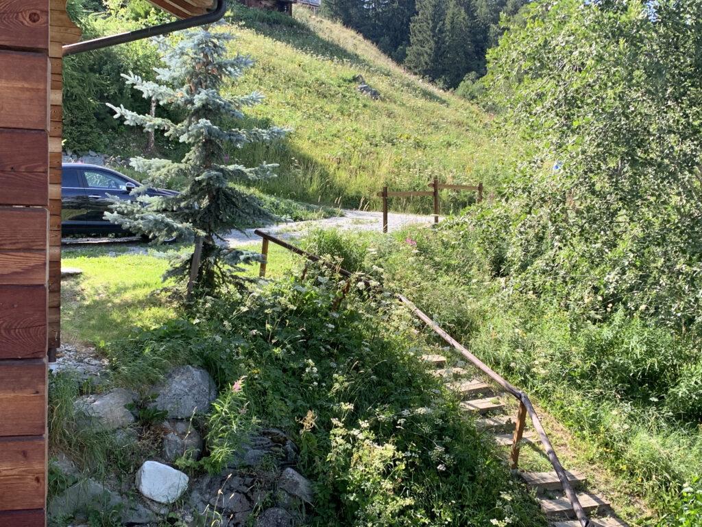 La dernière chose à craindre est la voiture